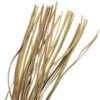 Frusta flogger BDSM in cuoio vegano beige FETISH SUBMISSIVE
