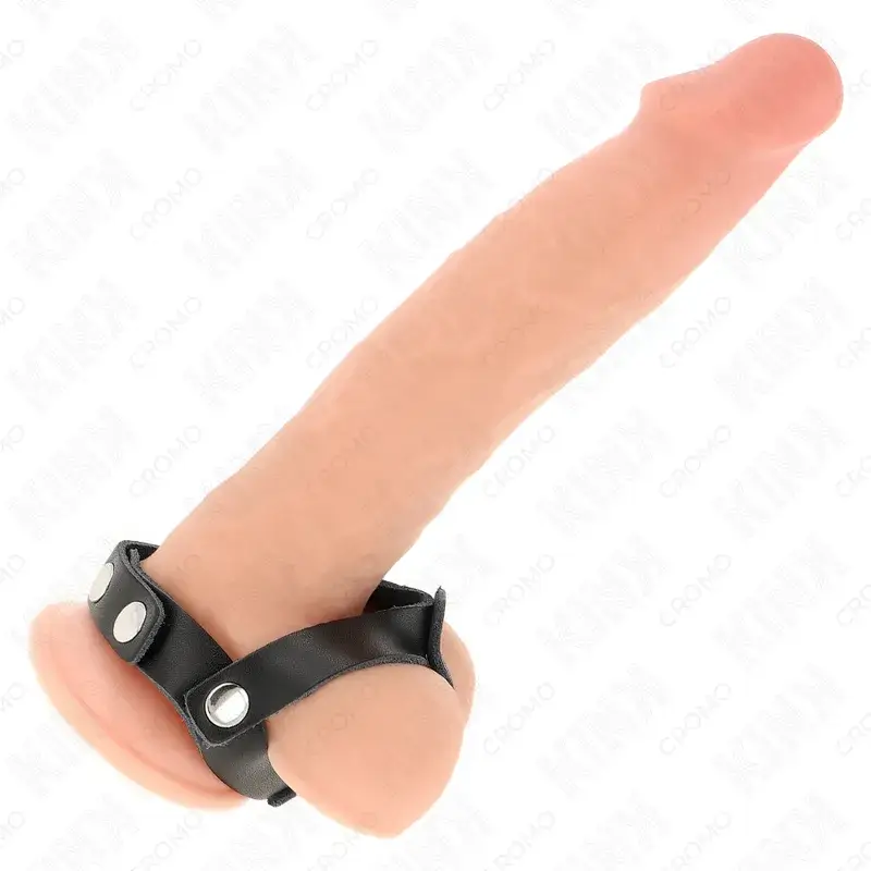 Anello in pelle per pene e scroto con divisore testicolare KINK