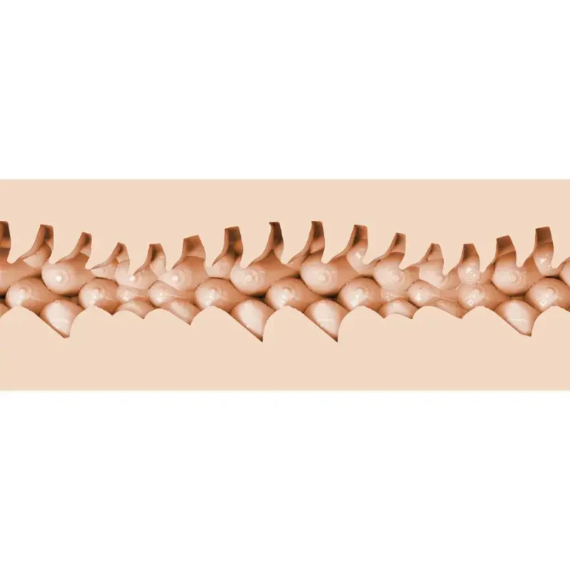Masturbatore manuale maschile con la vagina di Evie Akashiya FLESHLIGHT FANTASY