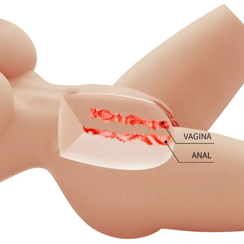 Torso realistico femminile con seno prosperoso, vagina e ano ‘Lily’ della marca CRAZY BULL