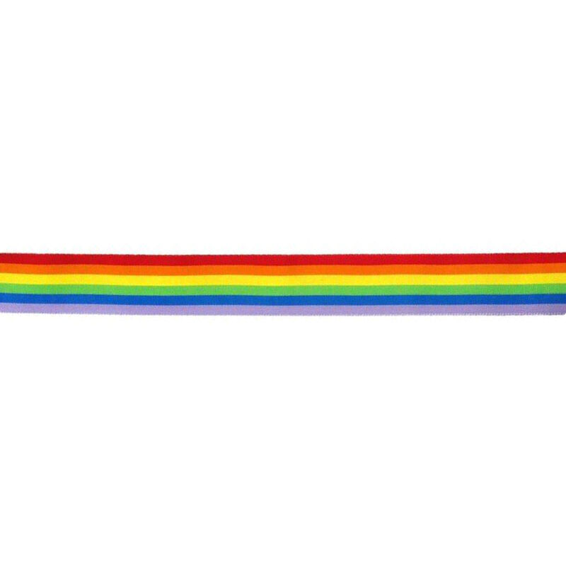 PRIDE – STRISCIA BANDIERA LGBT