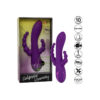 CALEXOTICS - LONG BEACH BOOTYLICIOUS VIOLA - immagine 5