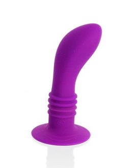 BOOTY PASSION VIBRATOR PLUG 10V