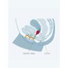 FUN FACTORY - FUN CUP TAGLIA SINGOLA A TURCHESE - immagine 5