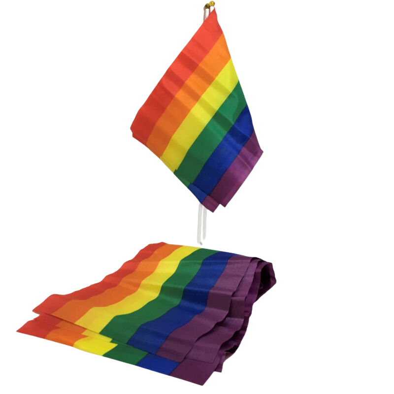 ORGOGLIO – BANDIERA PICCOLA BANDIERA LGBT