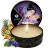 SHUNGA - FRUTTI ESOTICI DELLA GEISHA SEGRETA - immagine 5