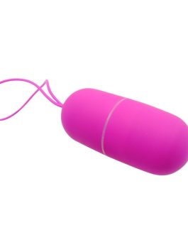 PRETTY LOVE – UOVO VIBRANTE ARVIN TELECOMANDO 12V