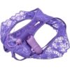 FANTASY FOR HER - CROTHLESS PANTY EMOZIONANTE - immagine 2