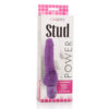 CALEXOTICS - VIBRATORE VIOLA POWER STUD CLITERRIFIC - immagine 3
