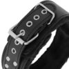 Collare in neoprene e PU leather nero DARKNESS - immagine 5