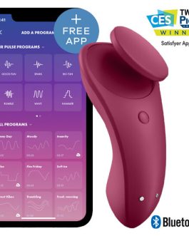 SATISFYER – SEXY SECRET PANTY