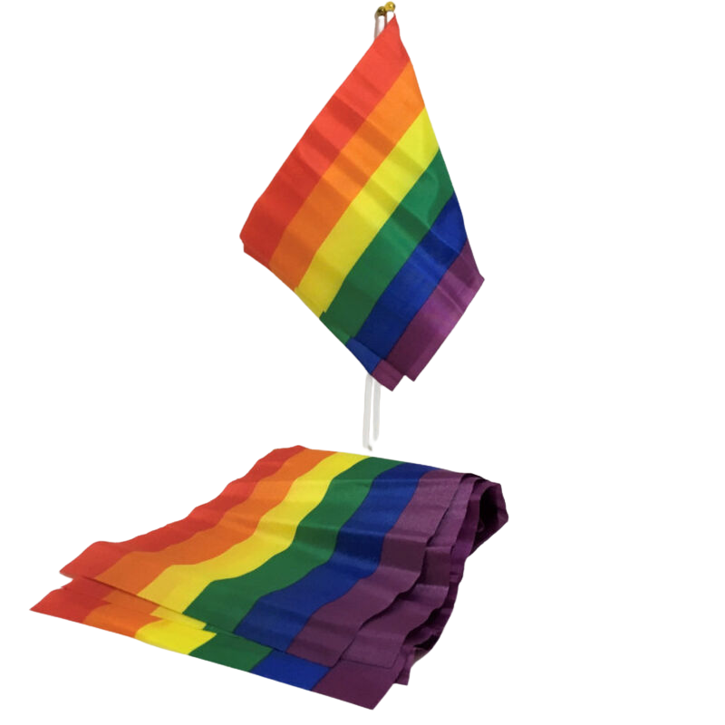PRIDE – BANDIERA PICCOLA BANDIERA LGBT