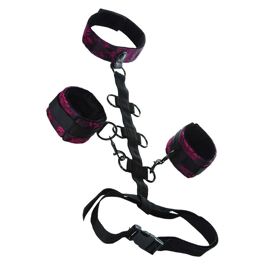 CALEXOTICS – SCANDAL COMPORAL SUPPORT CON COLLO
